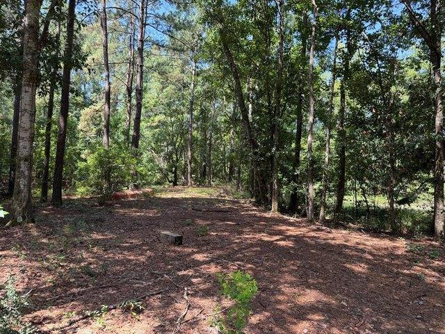 Land for sale in Picayune, Mississippi