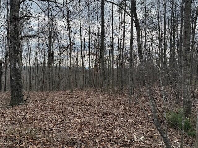 Land for sale in Tennessee
