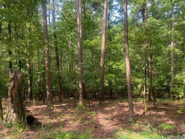 Land for sale in Ark