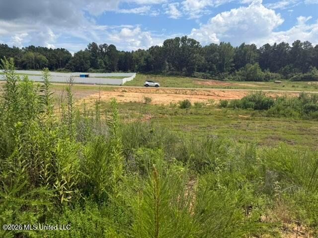 Land for sale in Byhalia, Mississippi