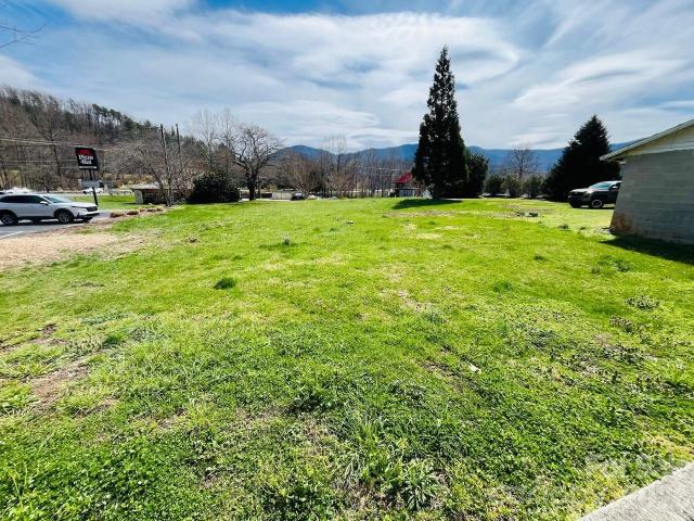 Commercial for sale in Black Mountain, North Carolina