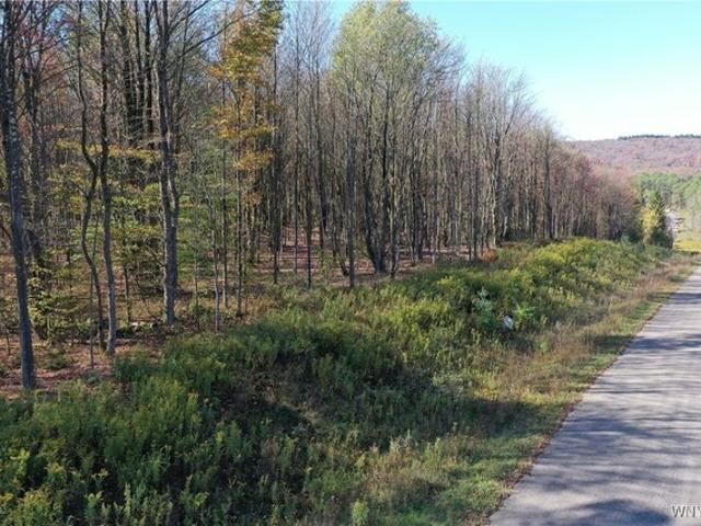 Land for sale in Ellicottville, New York