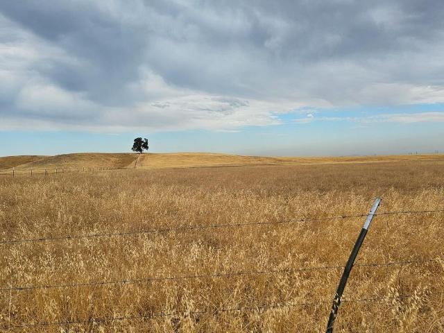 Land for sale in Yolo, California