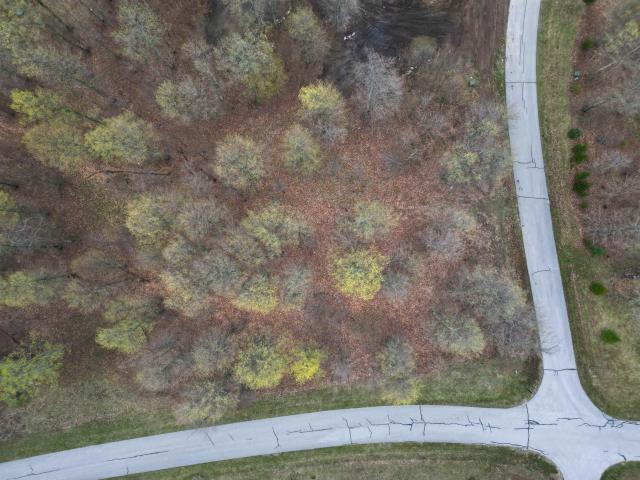 Land for sale in Michigan