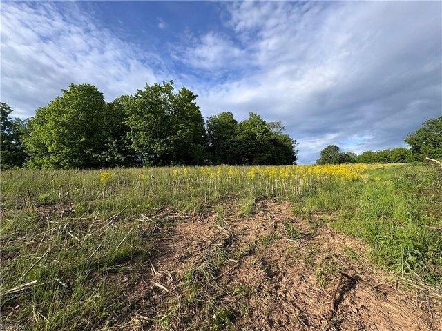 Land for sale in Stockport, Ohio