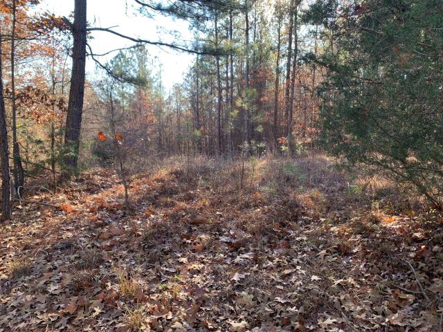 Property for sale in Tennessee