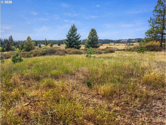 Land for sale in Lyle, Klickitat County