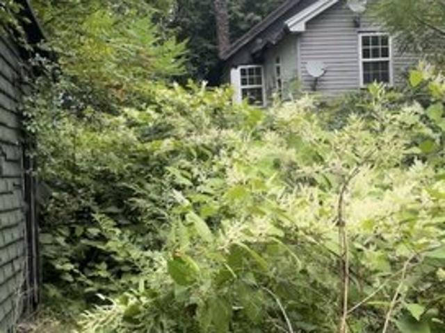 House for sale in Shenandoah, Schuylkill County
