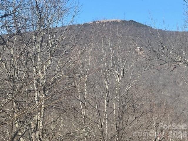 Land for sale in Mars Hill, North Carolina