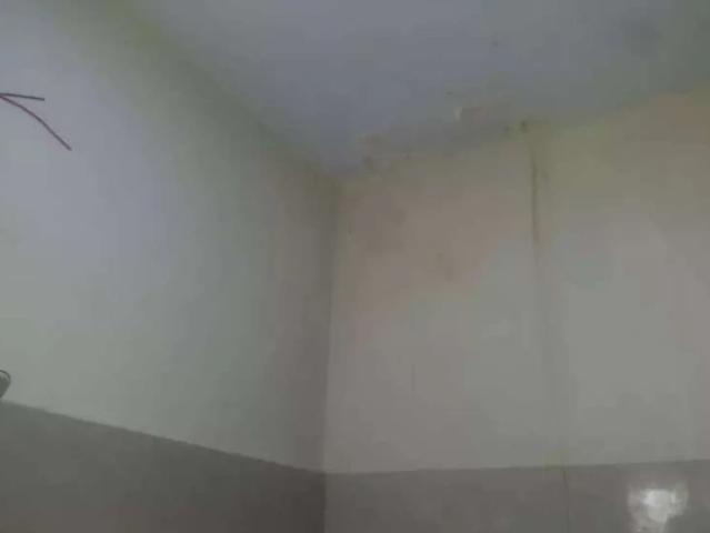 House for rent in North Waziristan, Federally Administered Tribal Areas fata
