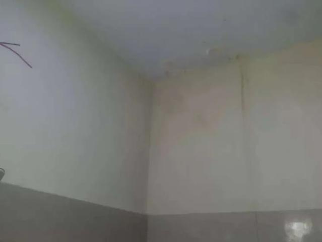 House for rent in North Waziristan, Federally Administered Tribal Areas fata
