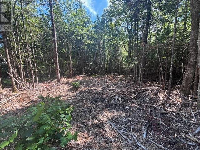 Land for sale in Hammond's Plains, Nova Scotia