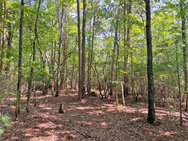 Land for sale in Dahlonega, Georgia