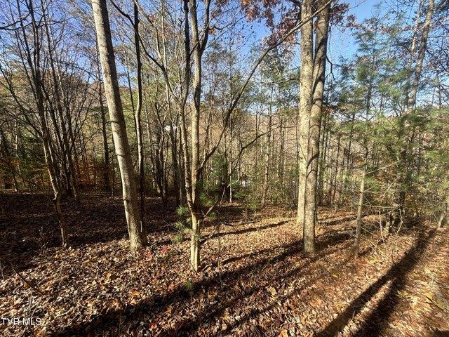 Land for sale in Tennessee