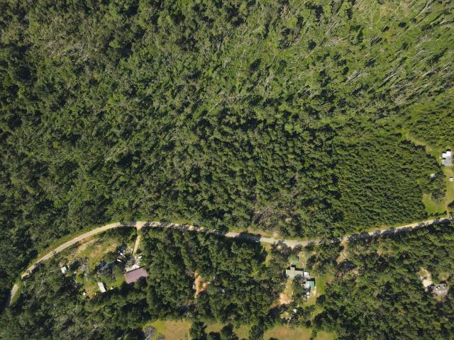 Land for sale in Keysville, Georgia