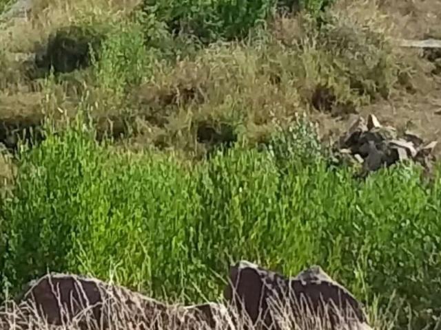 Land for sale in زون ۳, وفاقی دارالحکومت اسلام آباد
