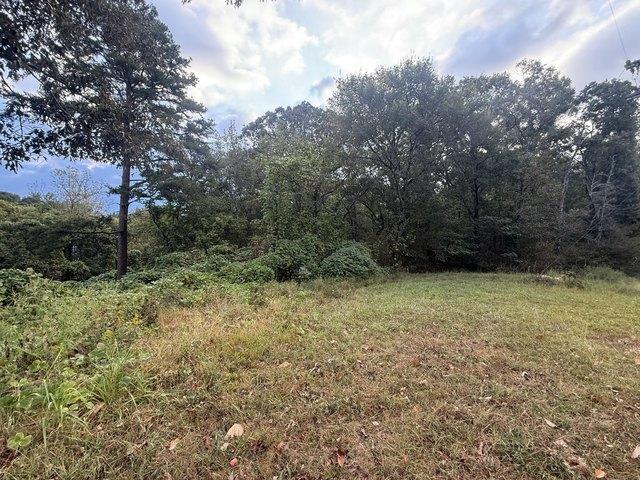 Land for sale in Bridgeport, Alabama