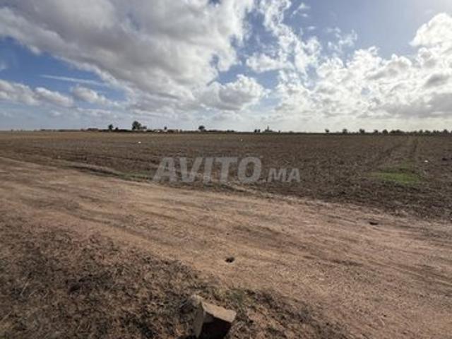 Propriété vente à El Ma, Gharb-Chrarda-Beni Hssen
