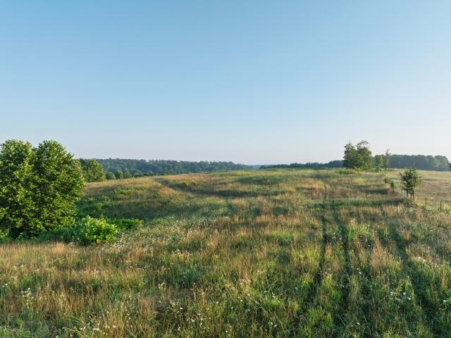 Commercial Land for sale in Nunnelly