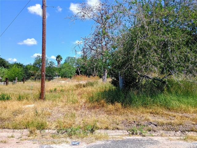 Land for sale in Bee, Texas