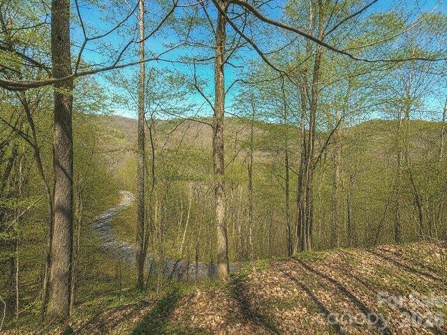 Land for sale in Haywood, North Carolina