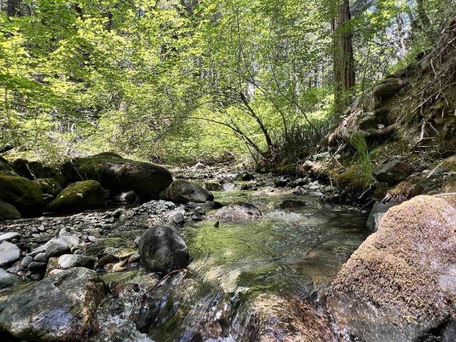 Land for sale in Weaverville, Trinity County