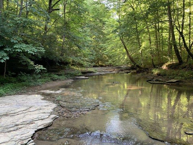 Land for sale in Columbia, Kentucky