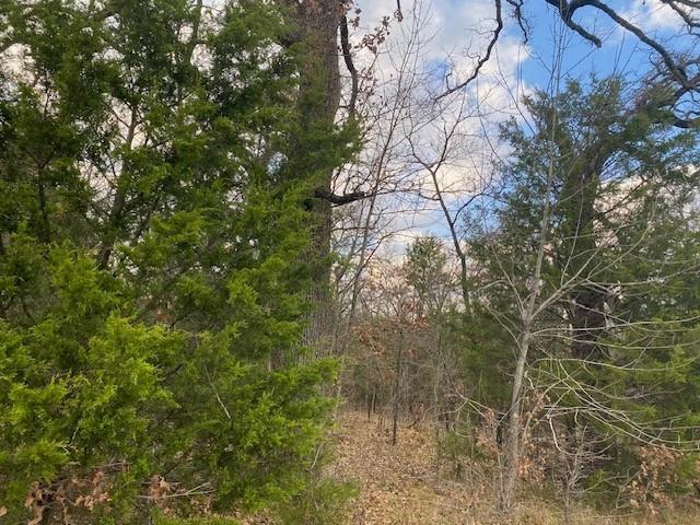 Land for sale in Henderson, Texas