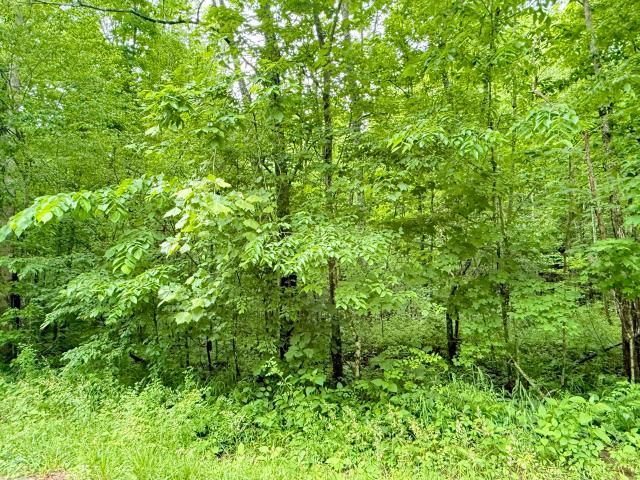 Land for sale in Kentucky