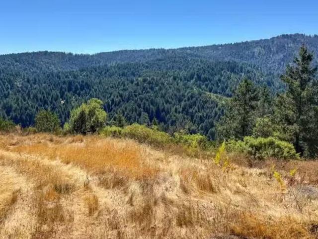 House for rent in Ben Lomond, California