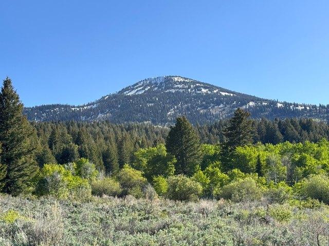 Land for sale in Albion, Idaho