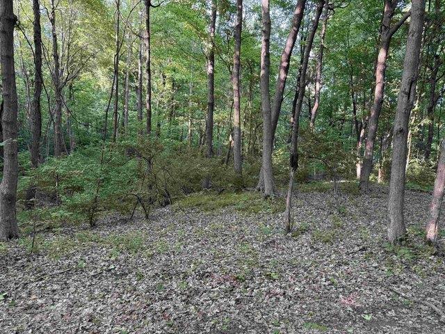 Land for sale in Gibson, Indiana