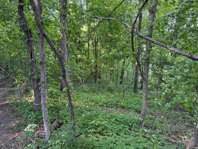 Land for sale in Gibson, Indiana