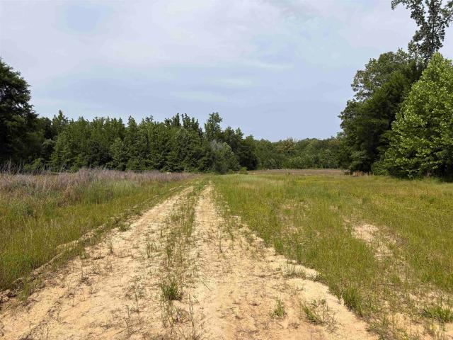 Land for sale in Tennessee