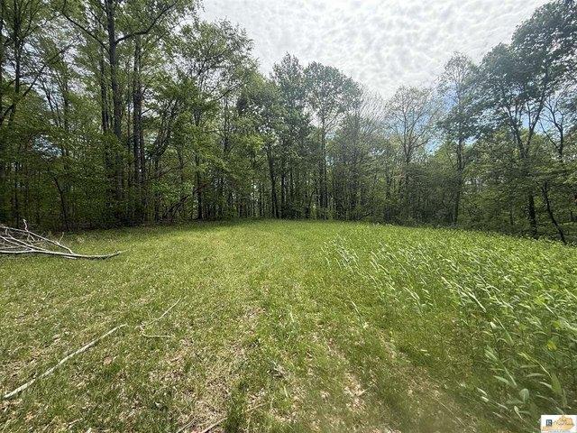 Land for sale in Columbia, Kentucky