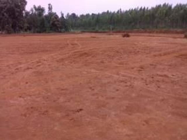 Land for sale in Bangalore North, Cox Town - Bangalore