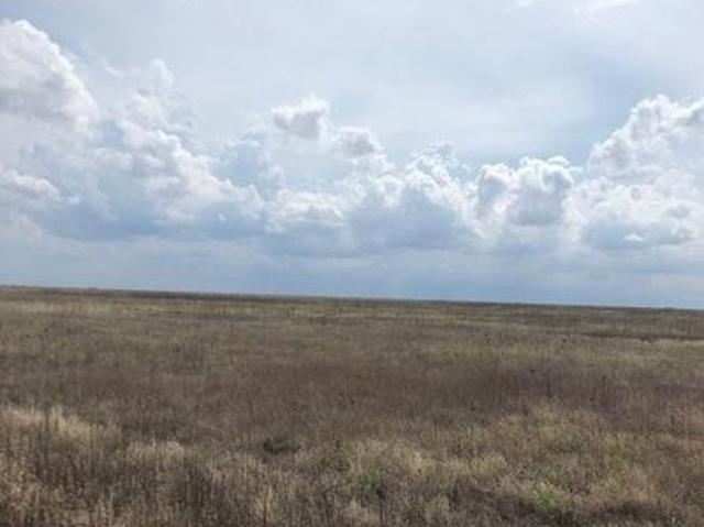 Land for sale in Wildorado, Texas