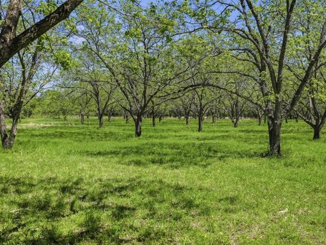 Land for sale in Bluff Dale, Texas