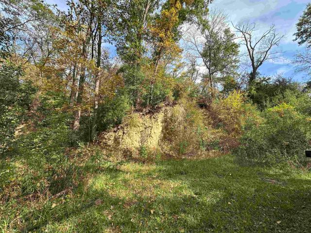 Land for sale in Savanna, Carroll County