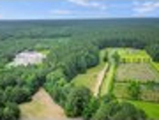 Land for sale in Bonneau, South Carolina