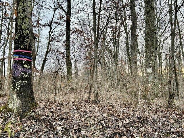 Land for sale in Bruceton Mills, West Virginia