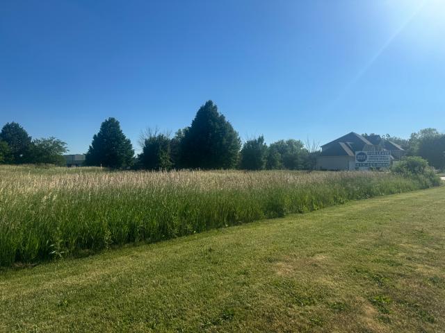 Land for sale in Huntley, McHenry County