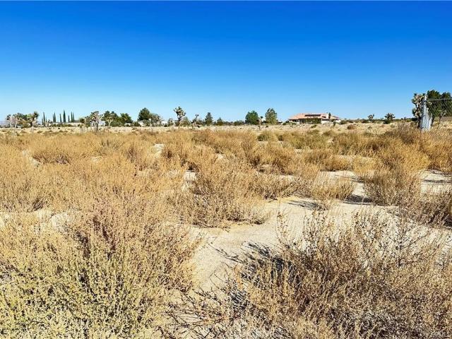 Land for sale in Pinon Hills, California