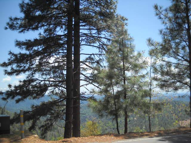 Land for sale in Murphys, California