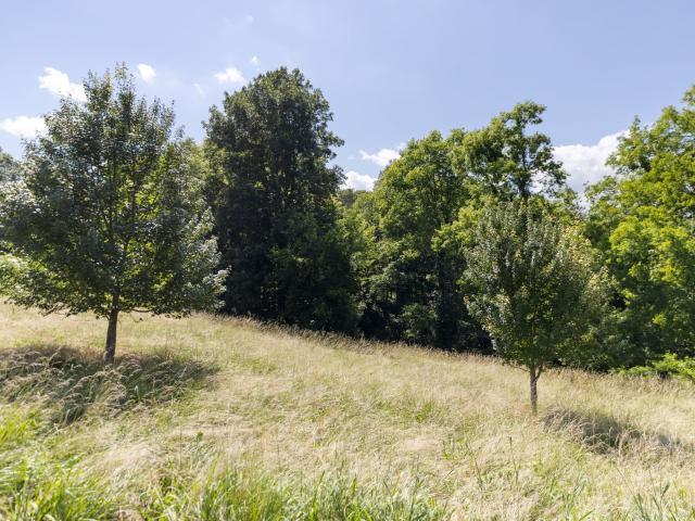 Land for sale in Tennessee