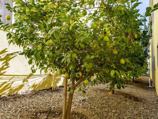 Apartment for rent in Canoga Park, California