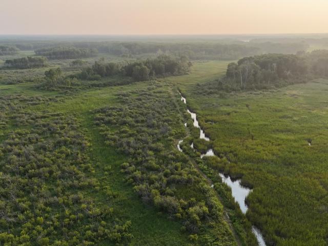 Land for sale in Hubbard, Minnesota