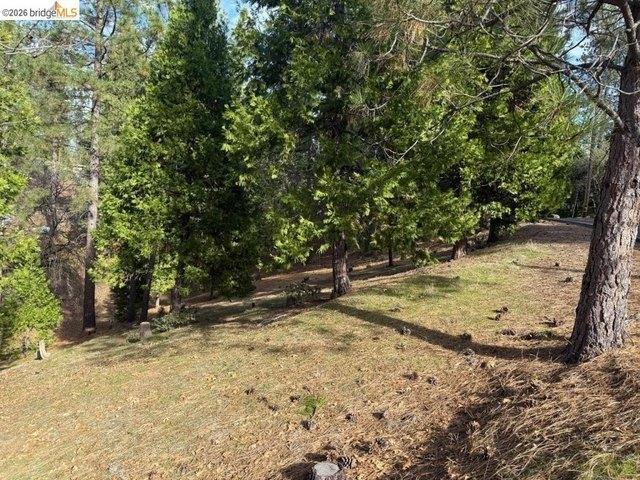 Land for sale in Groveland, California