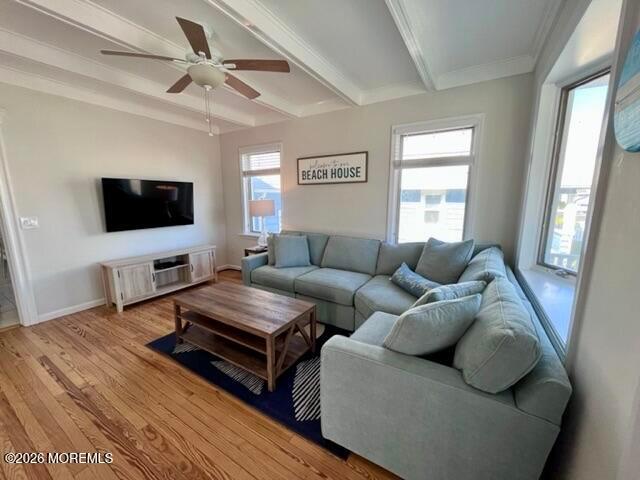 Property for rent in Monmouth, New Jersey
