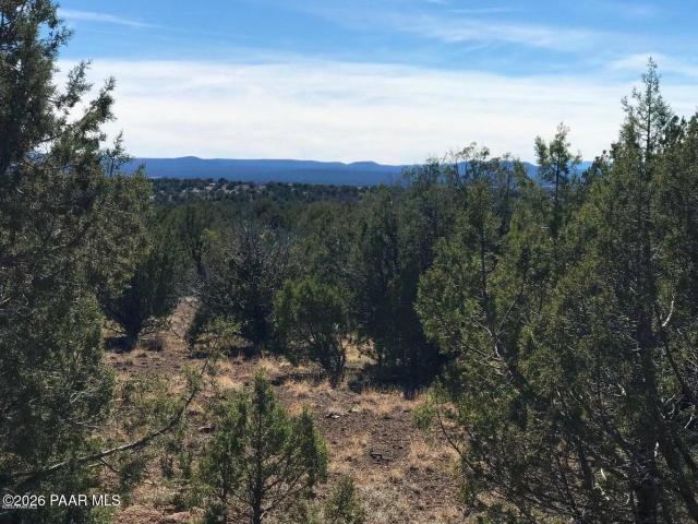 Land for sale in Ash Fork, Arizona